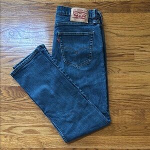 Levi's Classic Blue Straight Jeans with Timeless Appeal